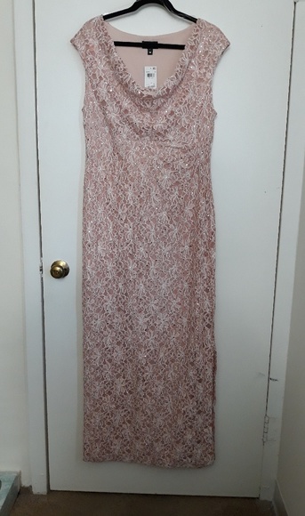Connected Sequined Lace Cowl-Neck Gown Nude pink - Picture 1 of 8